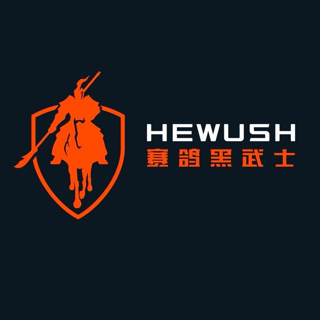 赛鸽黑武士外卖专家