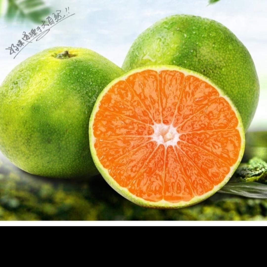 黔乡辣源