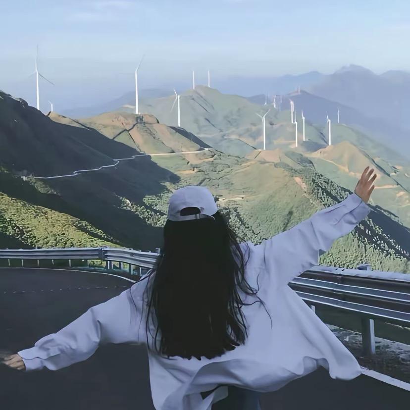 梦里花落知多少