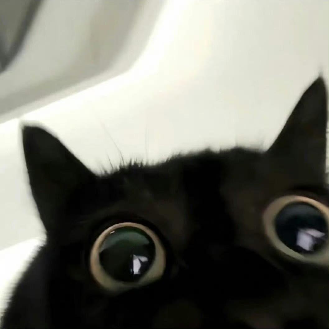 所期･ᴗ･