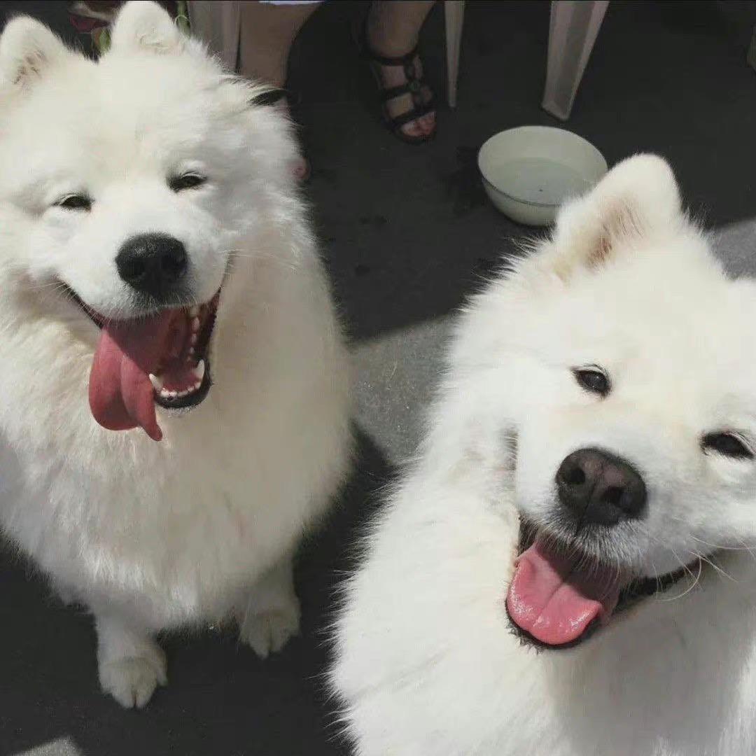 🍤:)蒙面虾仁🍤