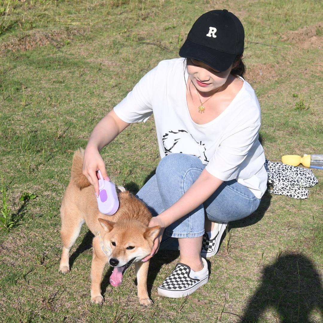 冯冯有只柴妹儿