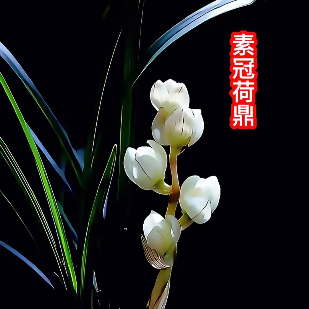 流浪在夜空