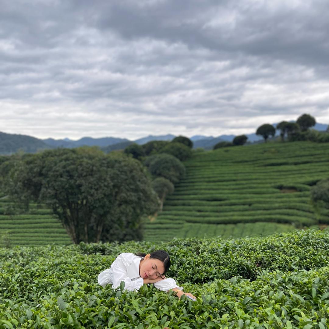 圆圆不圆W131499194131