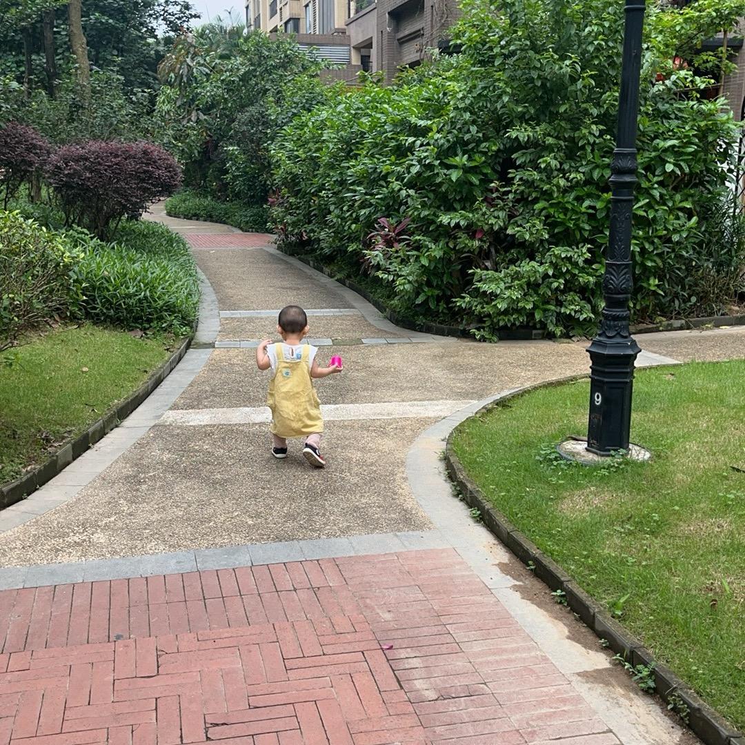 你的小橙子