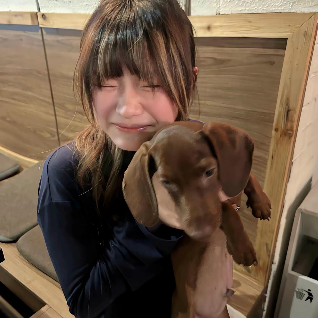 折耳根🐾