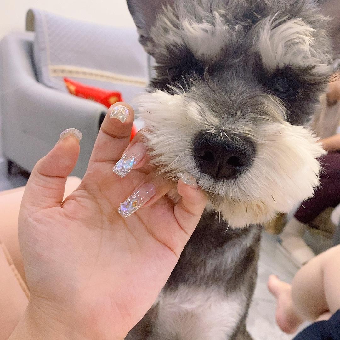 花卷是汪不是饭🐶