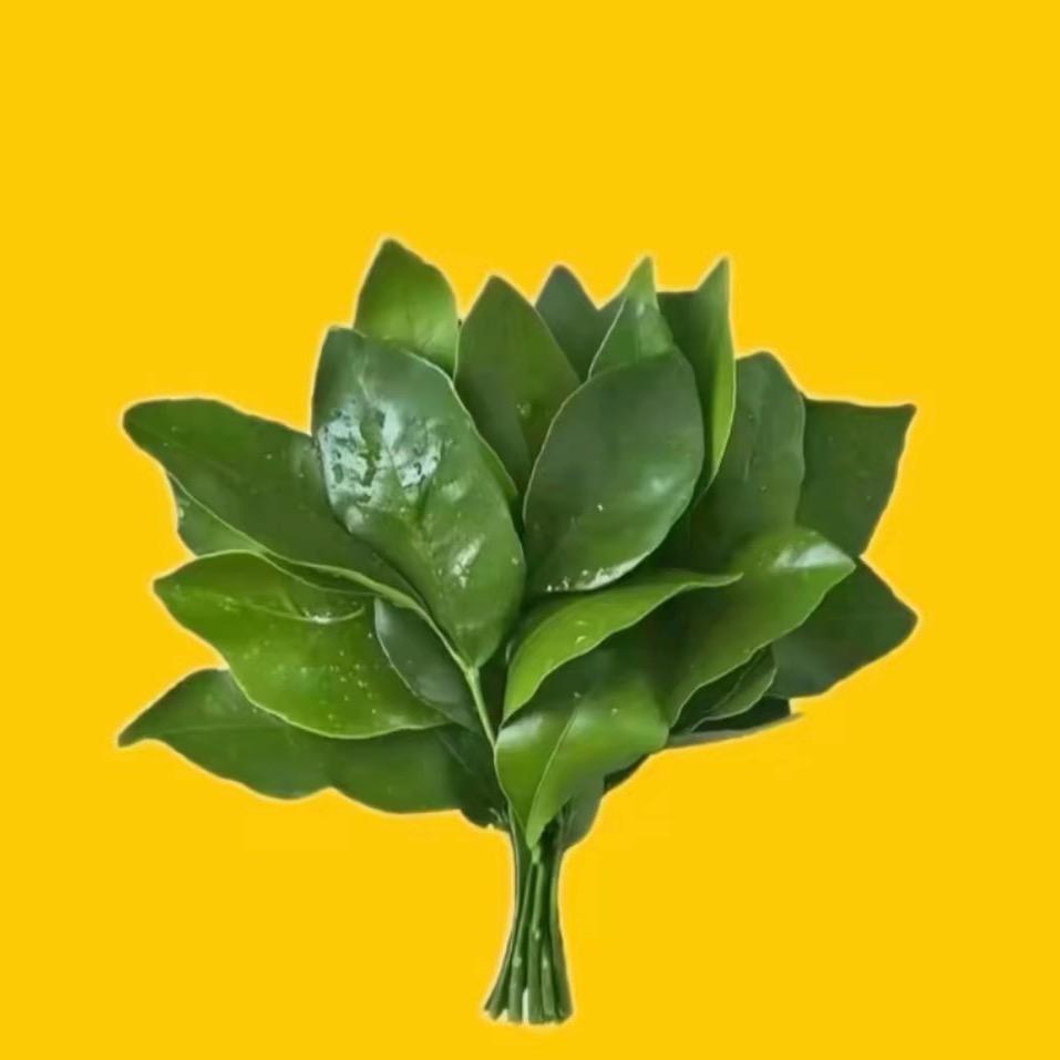 闫丹丹🌸