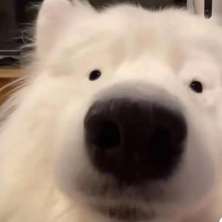 嘿