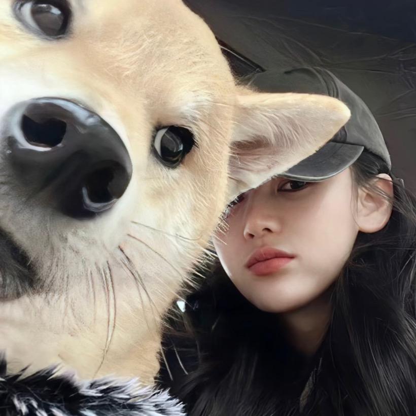 n5iwi（见过svt版）