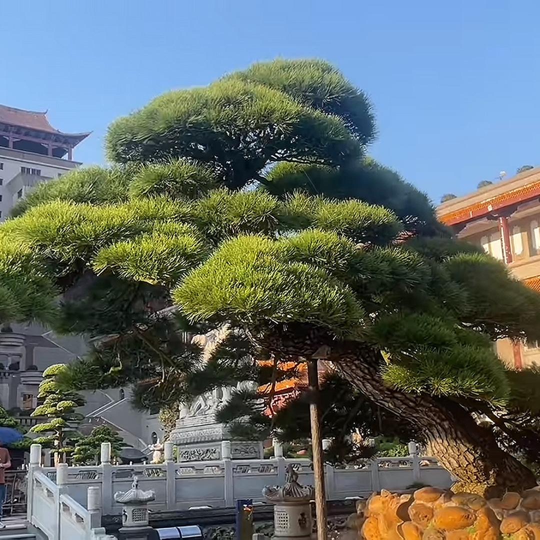 别tm来烦我