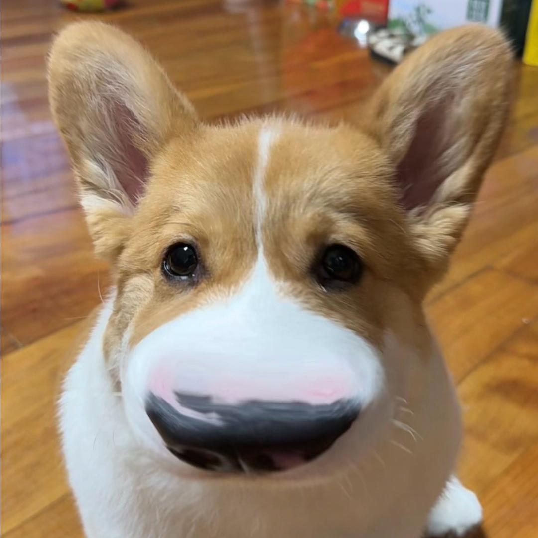 可乐的朋友圈