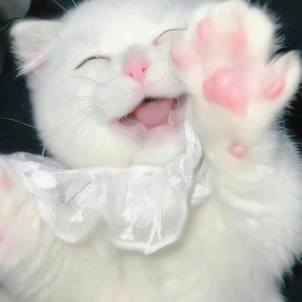 葡萄柚