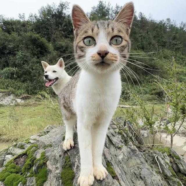 时光带不走的落叶