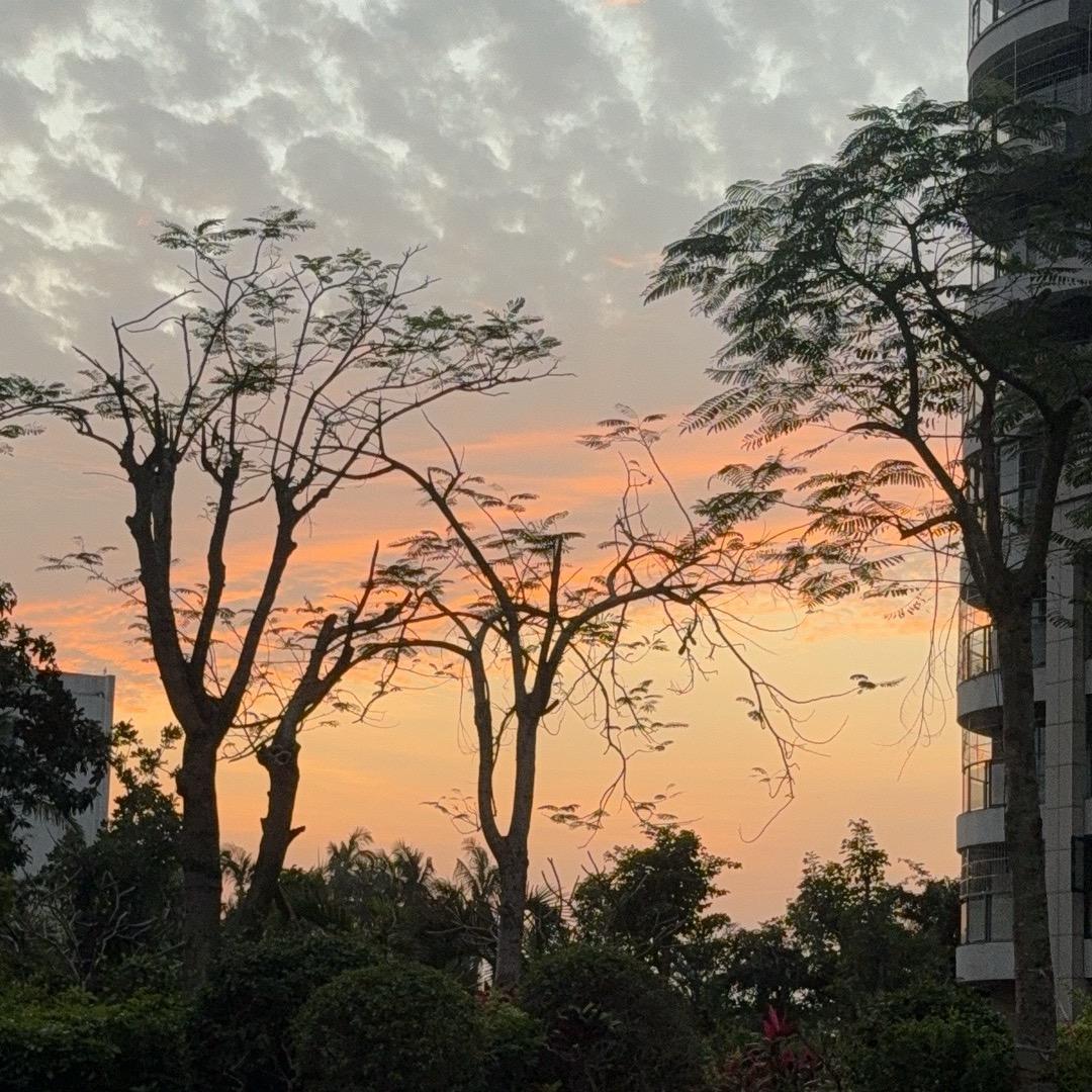 黄金地平线