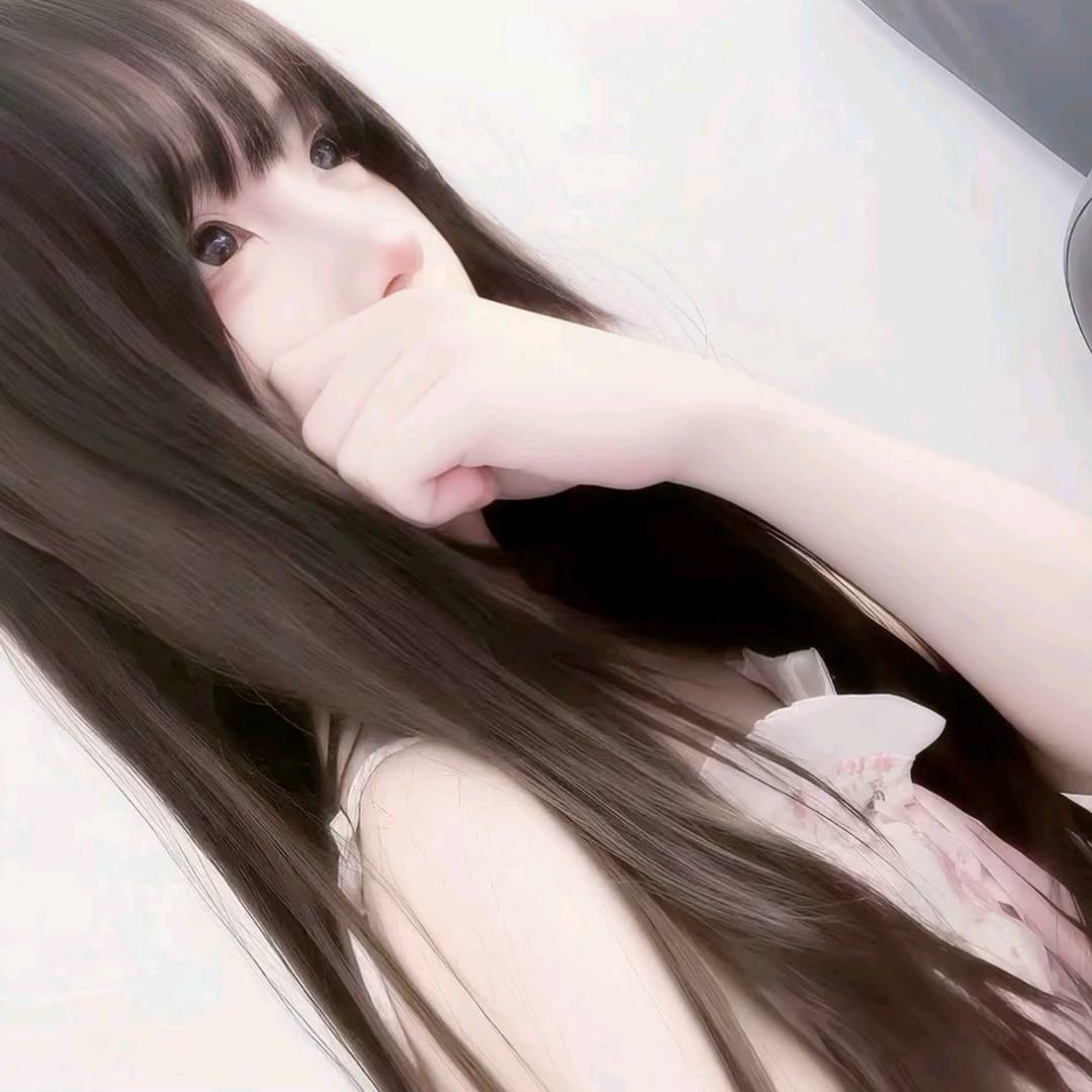 呆呆熊