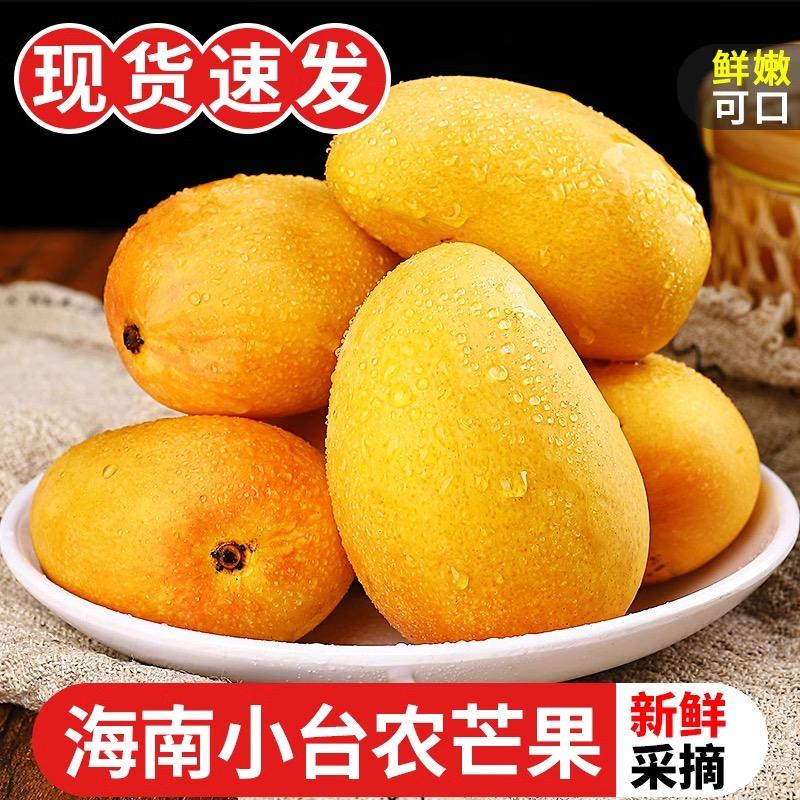 Po哥