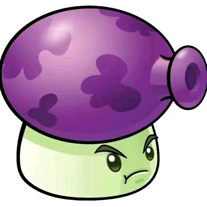 🟣🟣🟣🟣🟣🟣🟣🟣