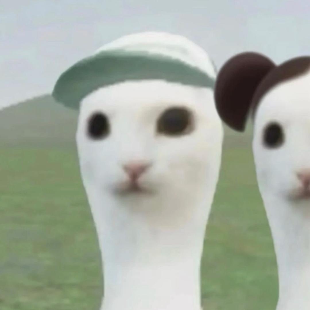 立和羽