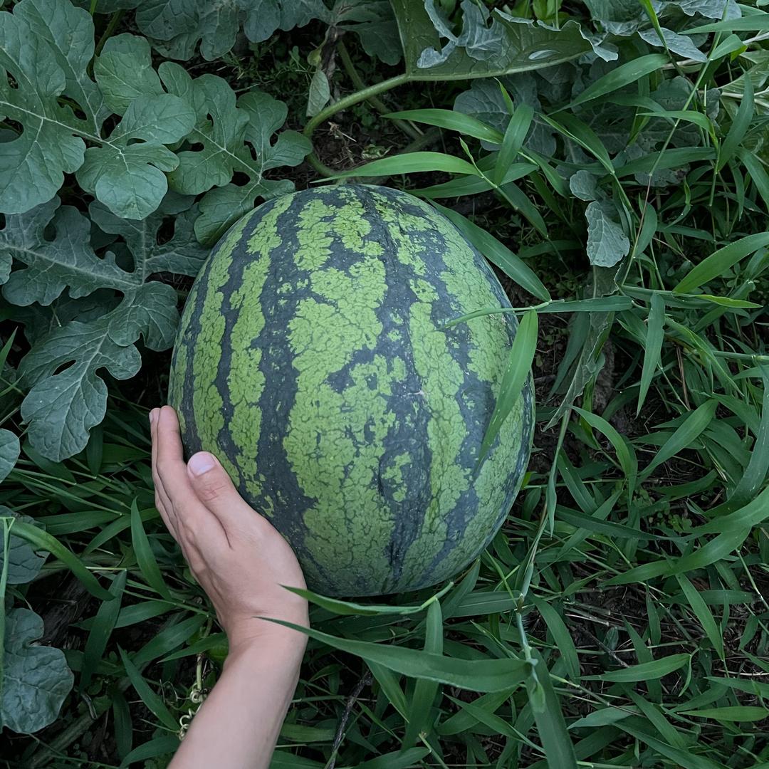 不会游泳的蜗牛🐌