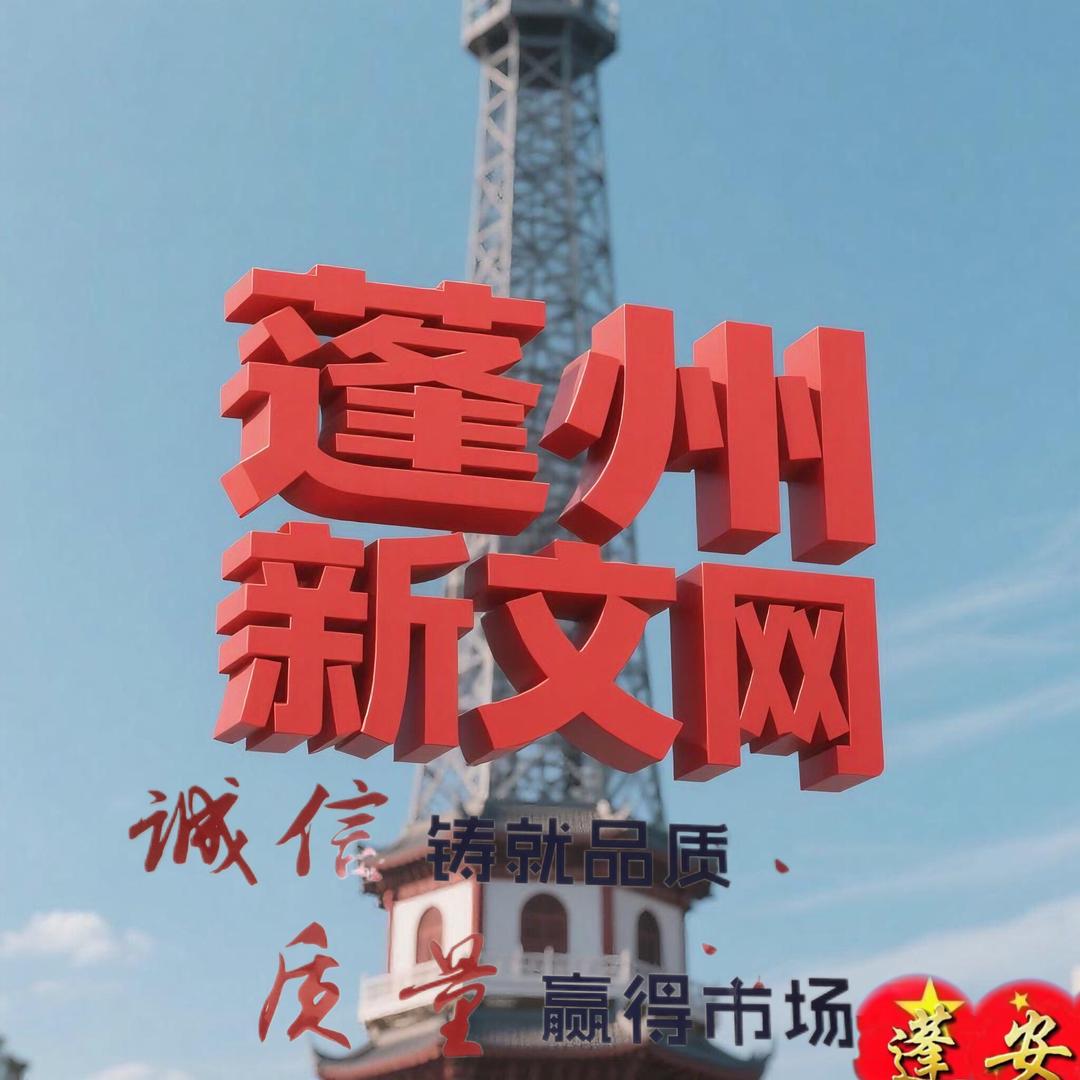 蓬安新传媒