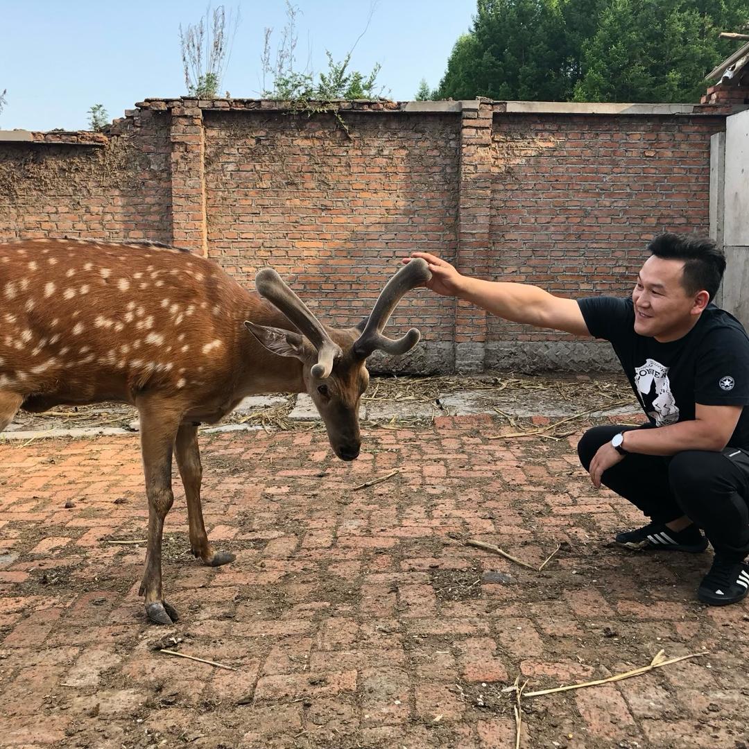 鹿大胆品牌滋补