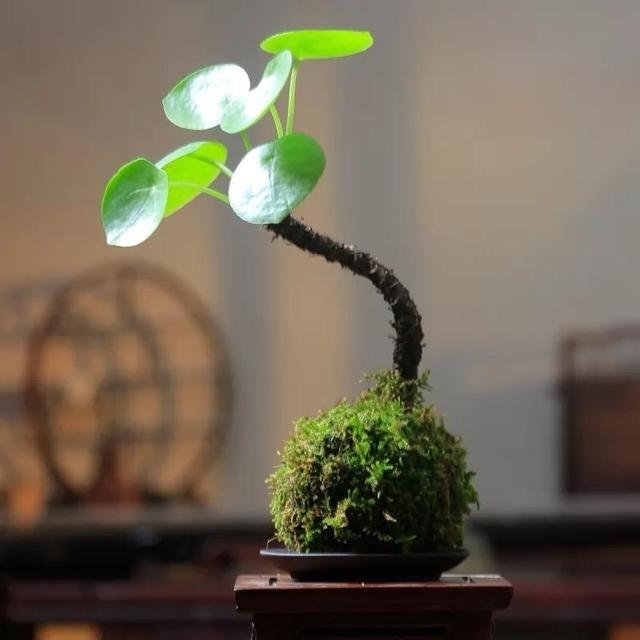 玉玲阁