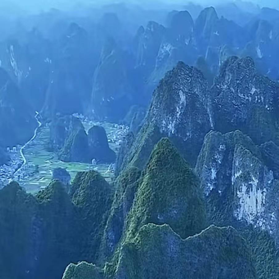慧美园艺