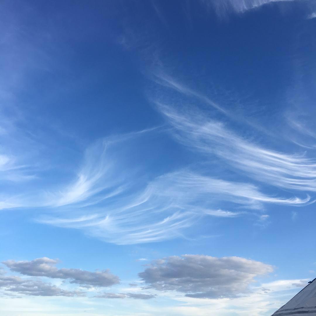 海锦宝宝
