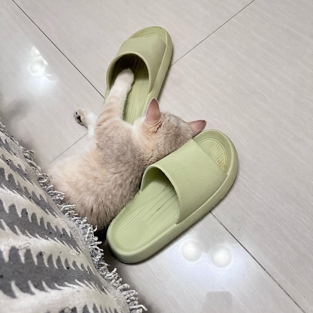 啊宇