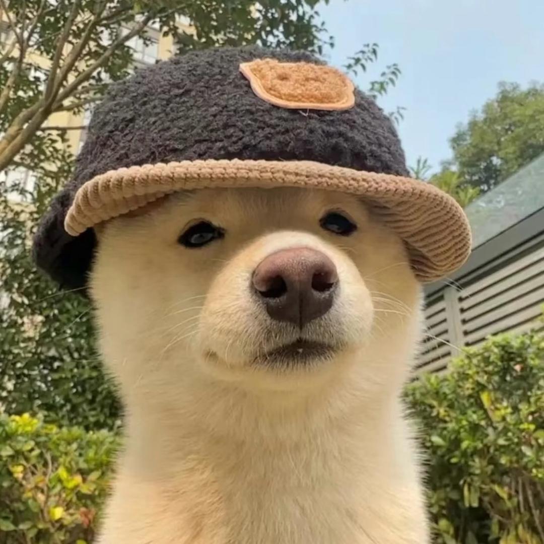 阿北（三角洲）