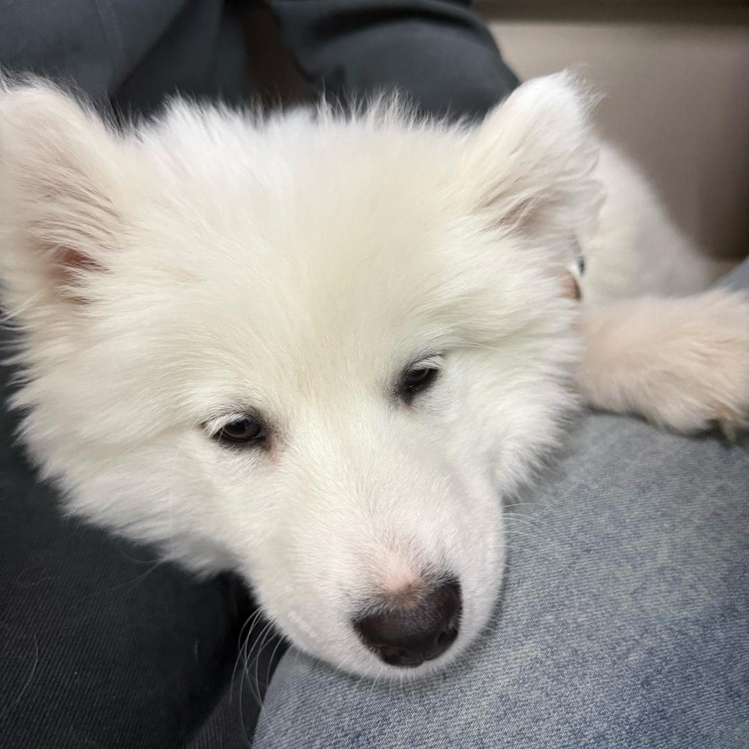 倒霉的荷包蛋🍳