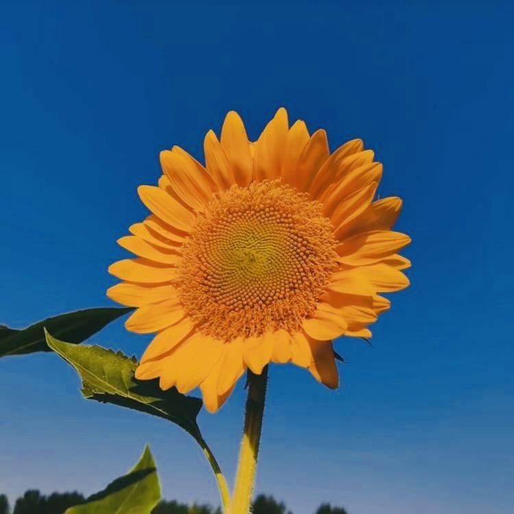 未来可期💕