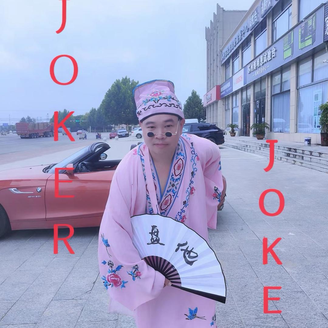 河南辉子