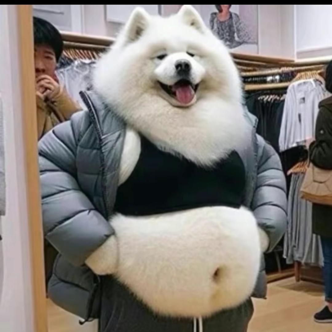 小李、