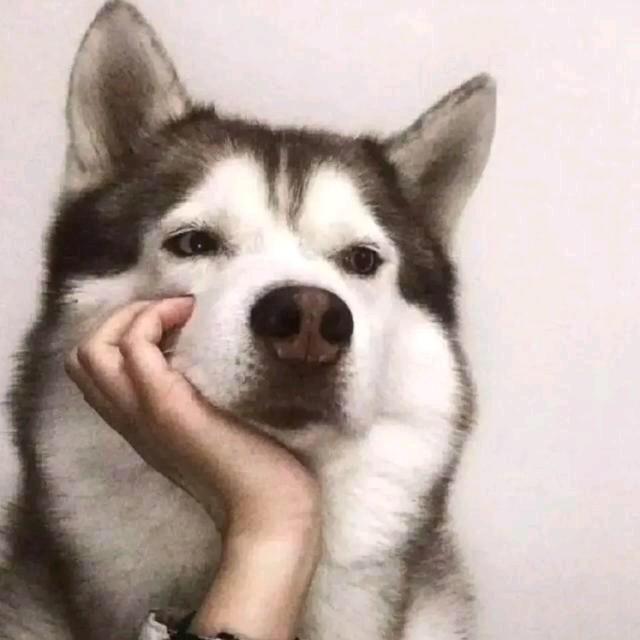 苏澈