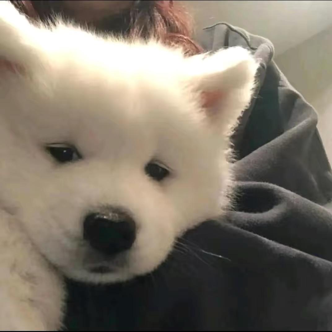 一天