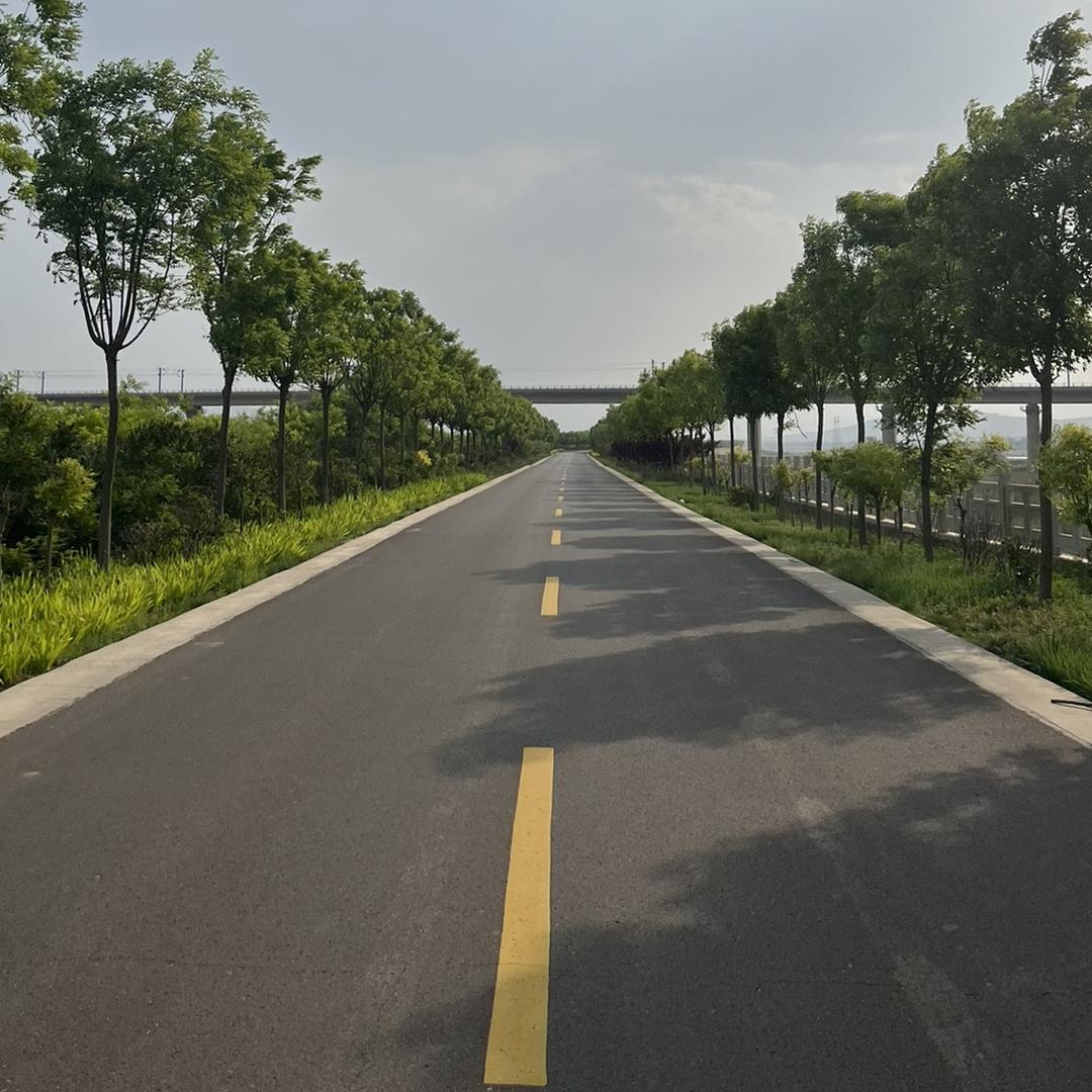 金钱豹【今日前方报道】