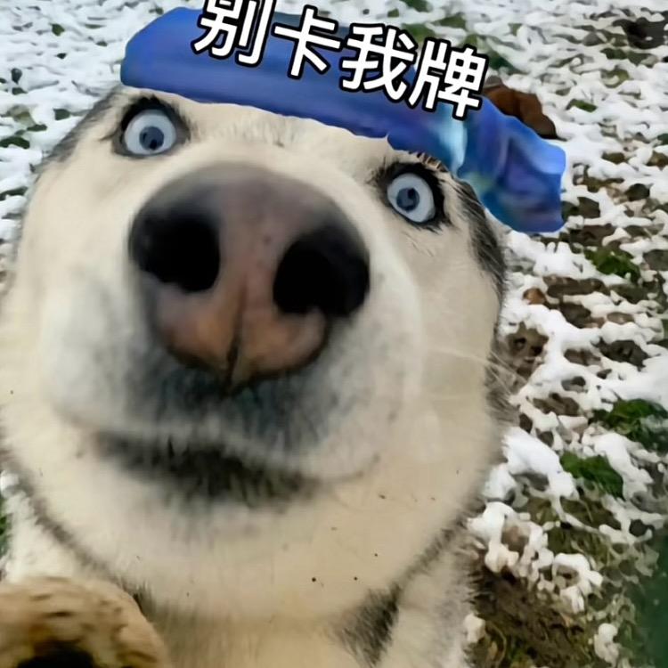 超级无敌悲伤大蛤蟆