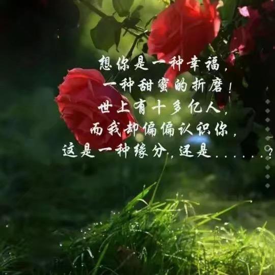 王事随风～