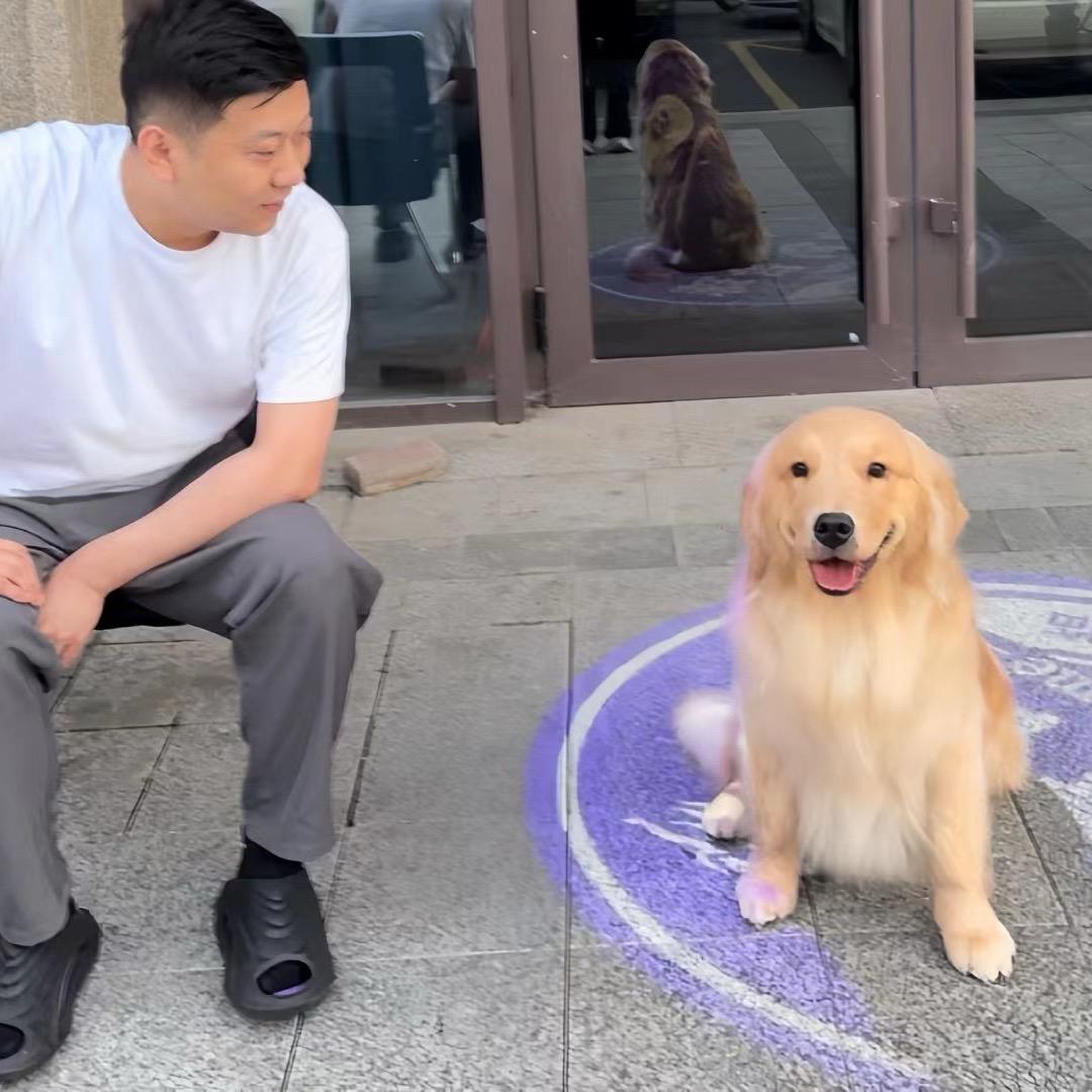 高小高🎱