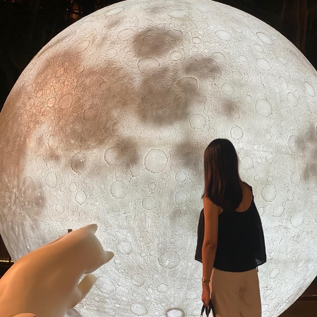 好运小肥柴头像