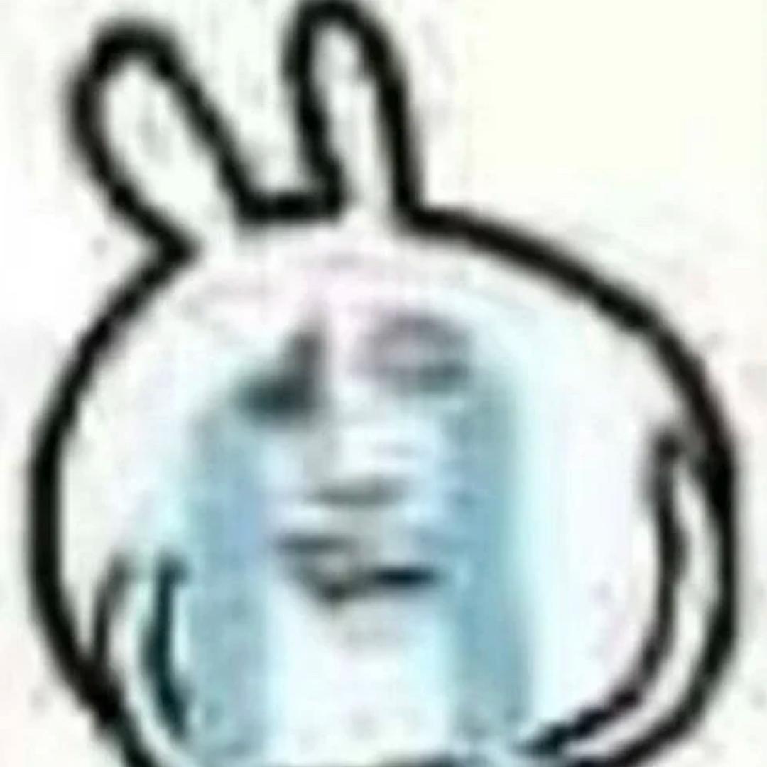 猪脑已过载