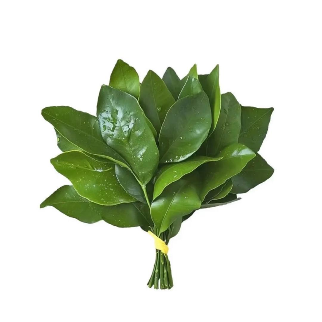 圆生菜