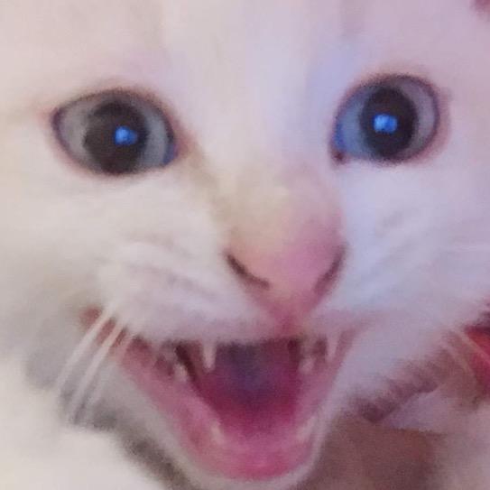 安QQ