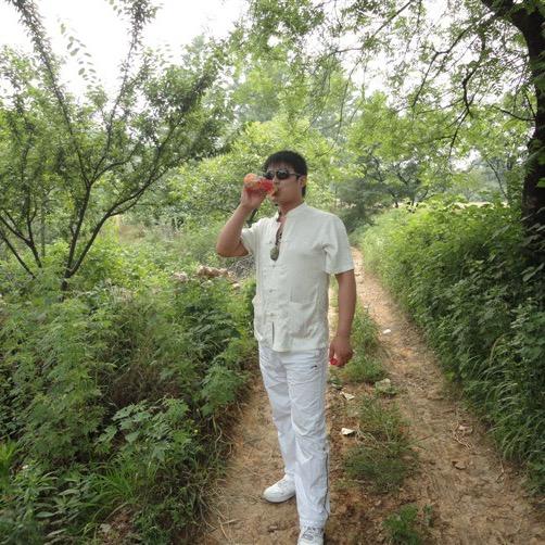 潇潇洒洒 金运亨通 财源滚滚