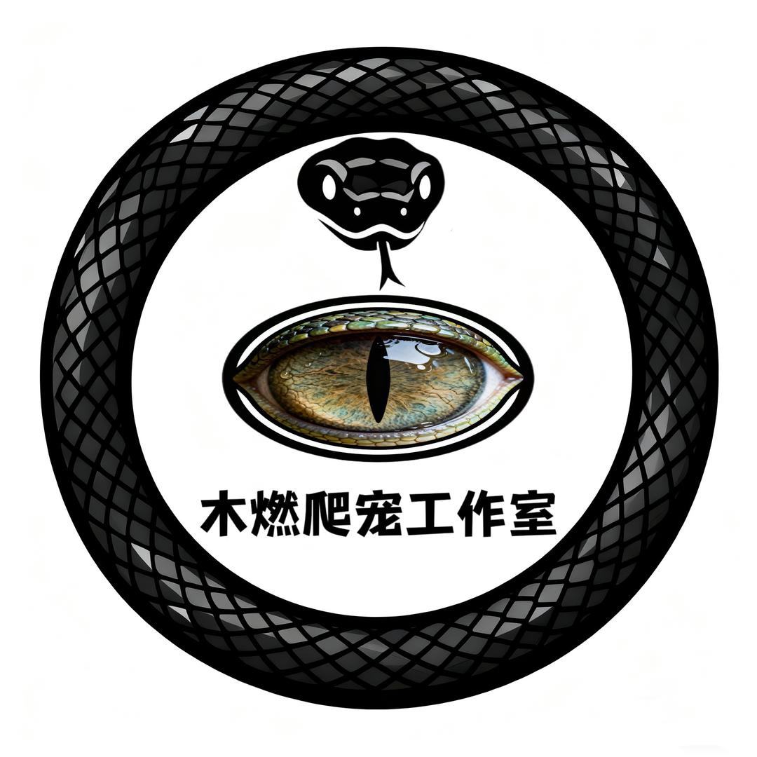 🔥木燃（自繁玉米蛇）
