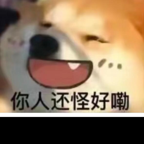 顽顽