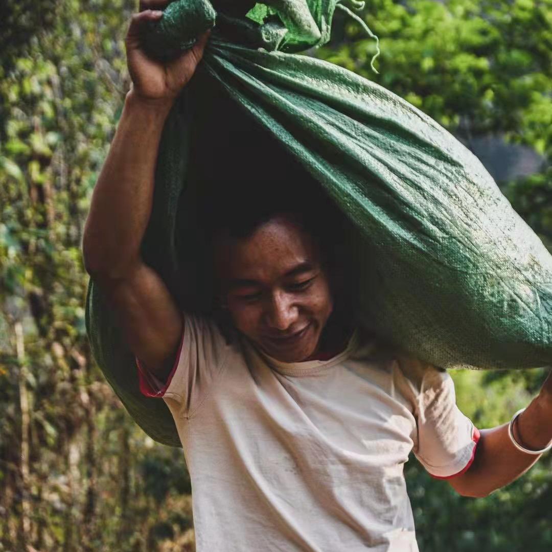 冰岛茶阿华