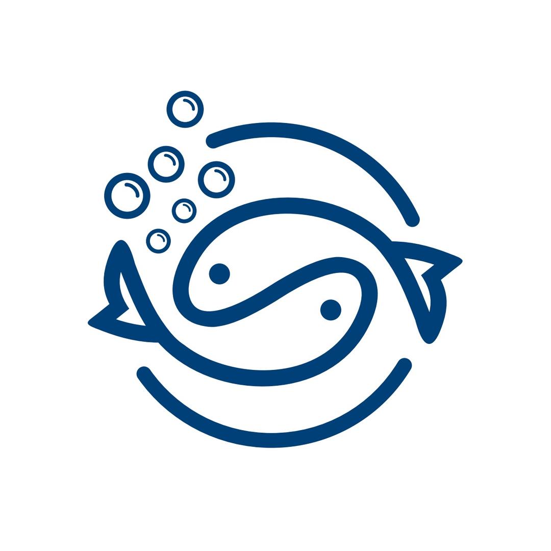 泡泡鱼-Bubble fish.Pub